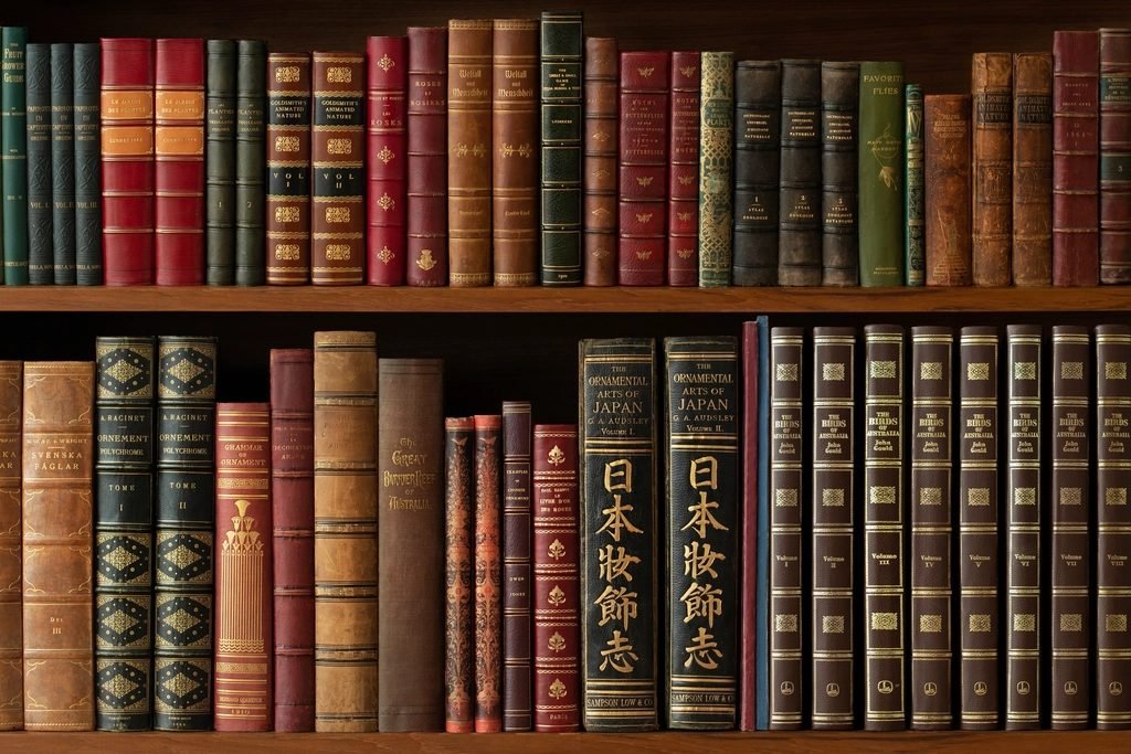 Regal mit alten, ledergebundenen Büchern, sinnbildlich für selbstgeschriebene Kampagnen und Hausregeln